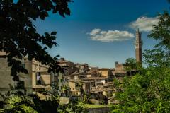 city-italy-siena-899